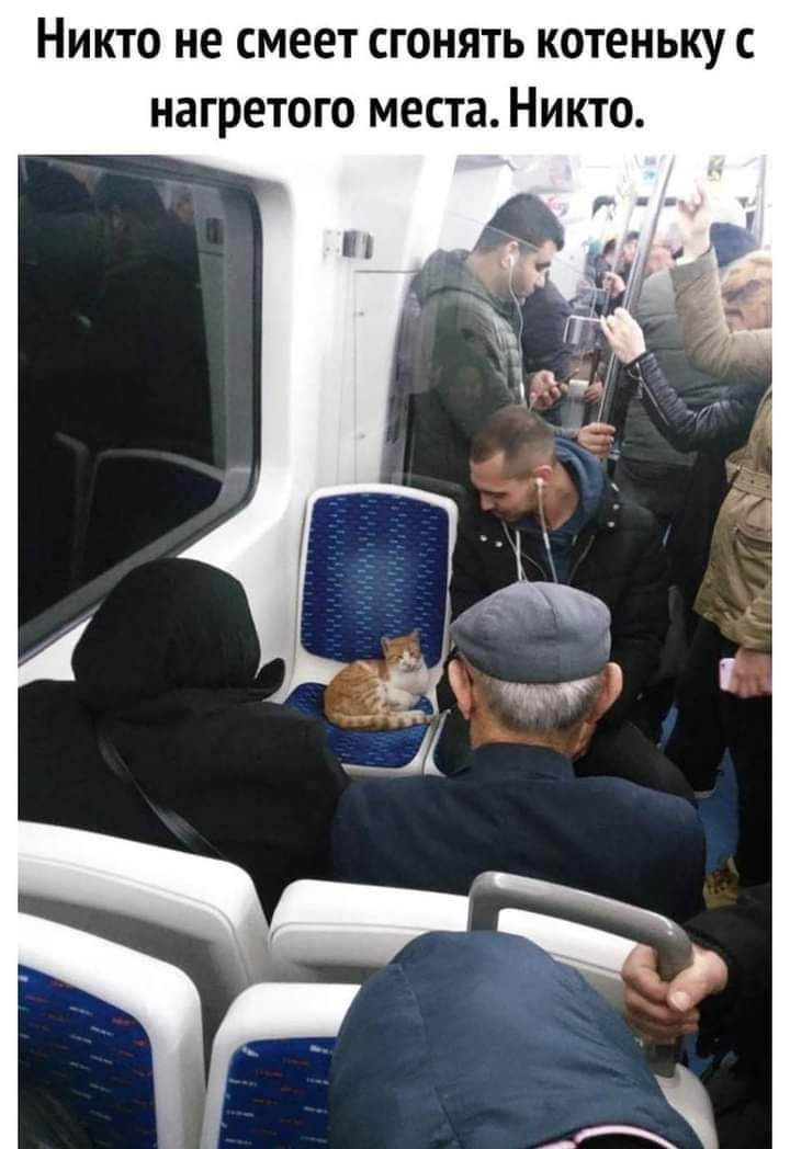 НИКТО не СМЕЕТ СГОНЯТЬ КОТЕНЬКУ С нагретого МЕСТЕ НИКТО