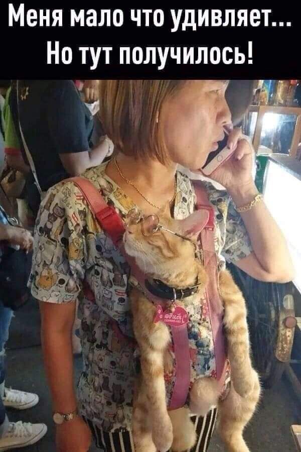 Меня мало что удивляет
