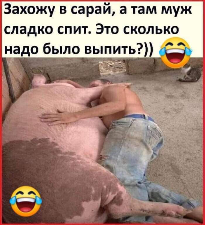 Захожу в сарай а там муж сладко спит Это сколько