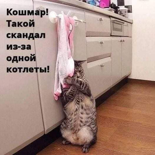 Кошмар Такой скандал из за одиощ котле ы