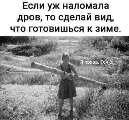 Если уж наломала дров то сделай вид что готовишься к зиме