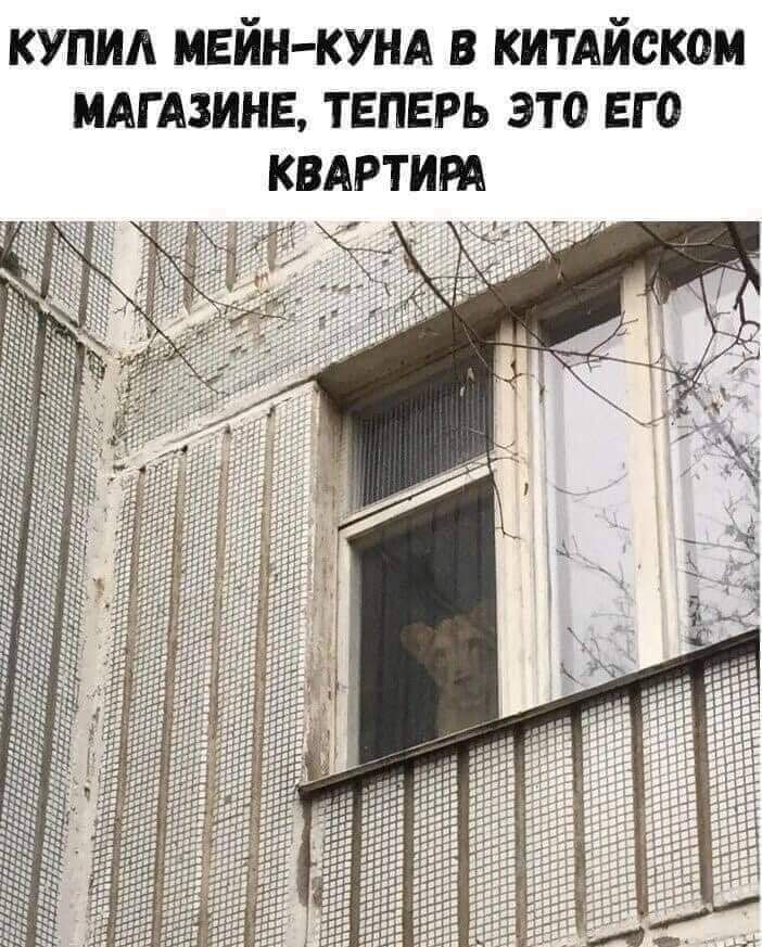 КУПИА МЕИН КУНА В КИТАИСКОМ ТЕПЕРЬ ЭТО ЕГО КВАРТИРА МАГАЗИНЕ