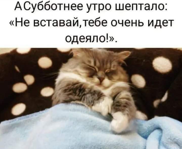 АСубботнее утро шептало Не вставайтебе очень идет одеяло