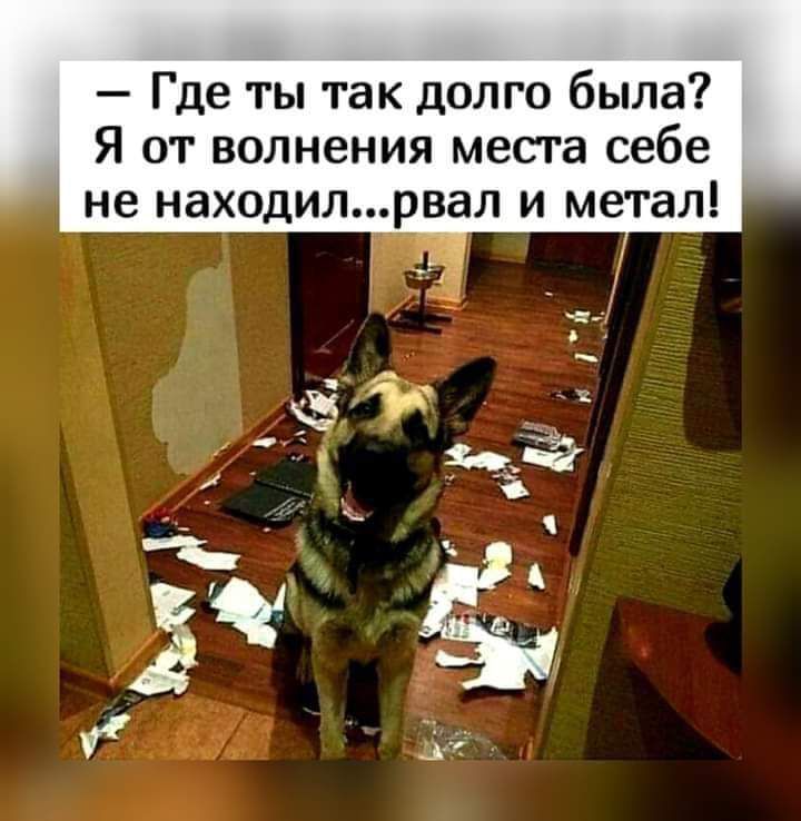 Где ты так долго была Я от волнения места себе не находилрвал и метал