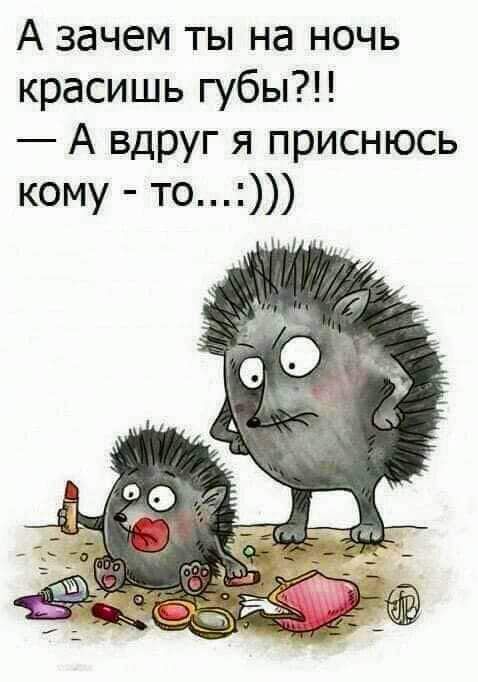А зачем ты на ночь красишь губы А вдруг я приснюсь кому то