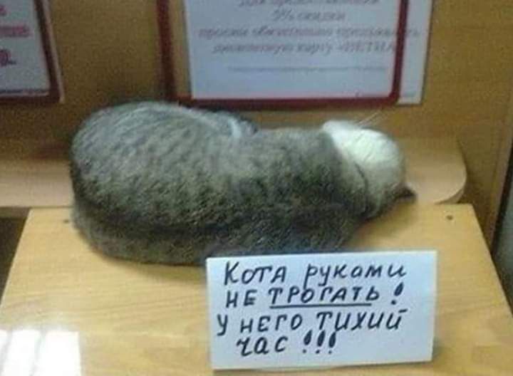 Котя Ё Р 31 32 у него на так