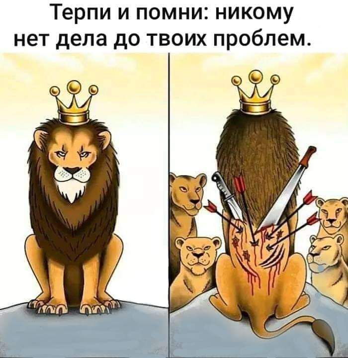 Терпи и помни никому нет дела до твоих проблем