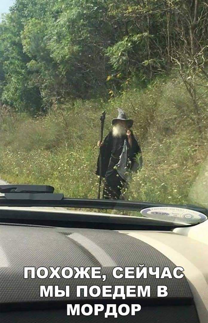 МЫ ПОЕДЕМ В МОРДОР