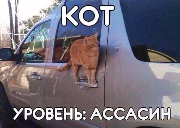 УРОВЕНЬ АССА
