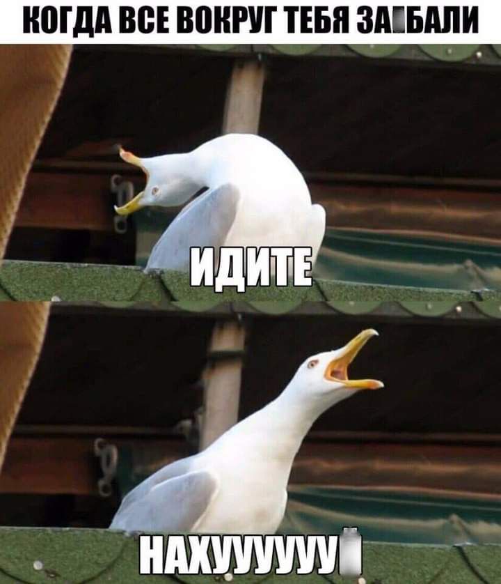 г _ _ идитв______