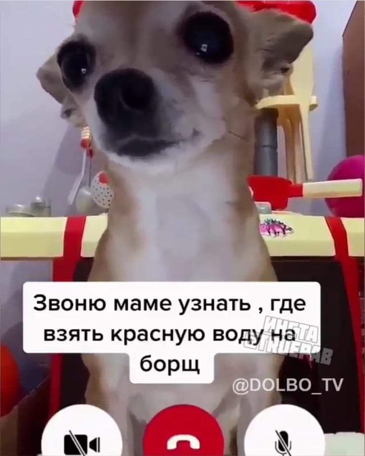 Звоню маме узнать где взять красную воду на