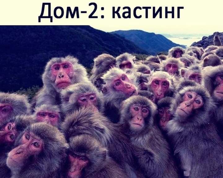 Дом 2 кастинг