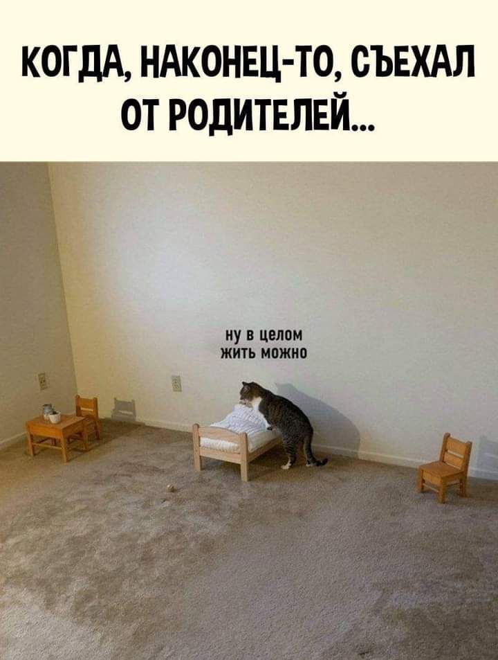когдд НАКОНЕЦ ТО сЪЕХАл от родитнпвй ну в целом