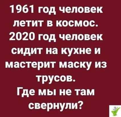 1961 год человек летит в космос 2020 год человек сидит на кухне и мастерит маску из трусов Где мы не там свернули