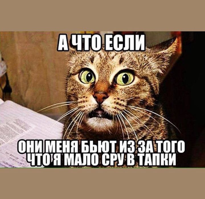 Еіііі БЬЮі ИЗ то іі ііМіііііі ВРУ В __тдпни