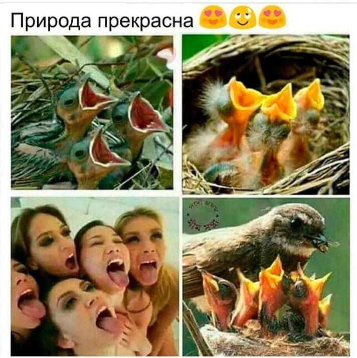 а Н с а 0 К 6 0 П 0 _ 0 И о П
