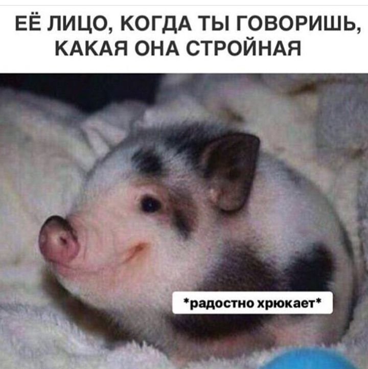 ЕЁ ЛИЦО КОГДА ТЫ ГОВОРИШЬ КАКАЯ ОНА СТРОЙНАЯ Ё к нъ А