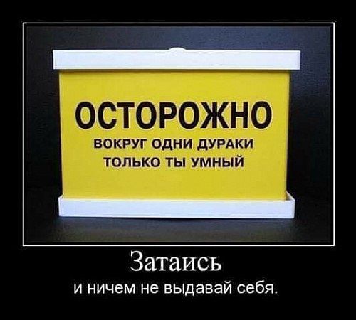 Затаись и ничем не выдавай себя
