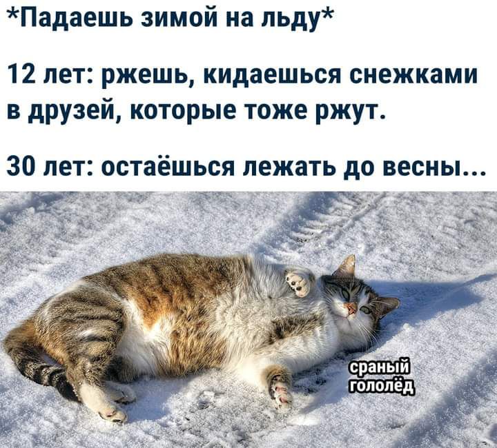 Падаешь зимой на льду 12 лет ржешь кидаешься снежками 3 друзей которые тоже ржут 30 лет остаёшься лежать до весны иду г
