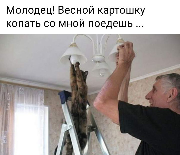 Молодец Весной картошку копать со мной поедешь