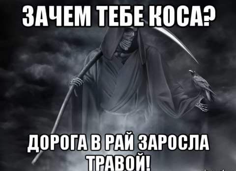 ЗАЧЕМ ТЕБЕ НПВП с в ЛПРПГА ВРАЙ ЗАРПВЛА ПВАВПЙ _