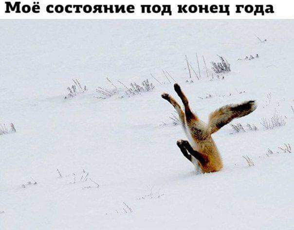 Моё состояние под конец года