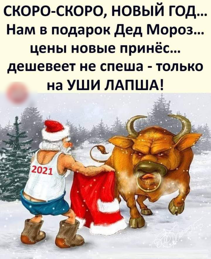 скоро скоро новый год Нам в подарок дед Мороз цены новые принёс дешевеет не спеша только на УШИ ЛАПША