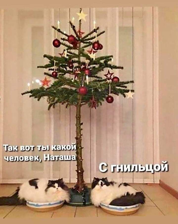 Таш эш ты 1 вы шшзззз НШ