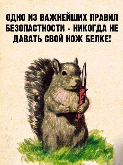 одно ИЗ ВАЖНЕЙШИХ ПРАВИЛ БЕЗОПАСНОСТИ НИК0ГДА НЕ дАВАТЬ свои нож БЕЛКЕ