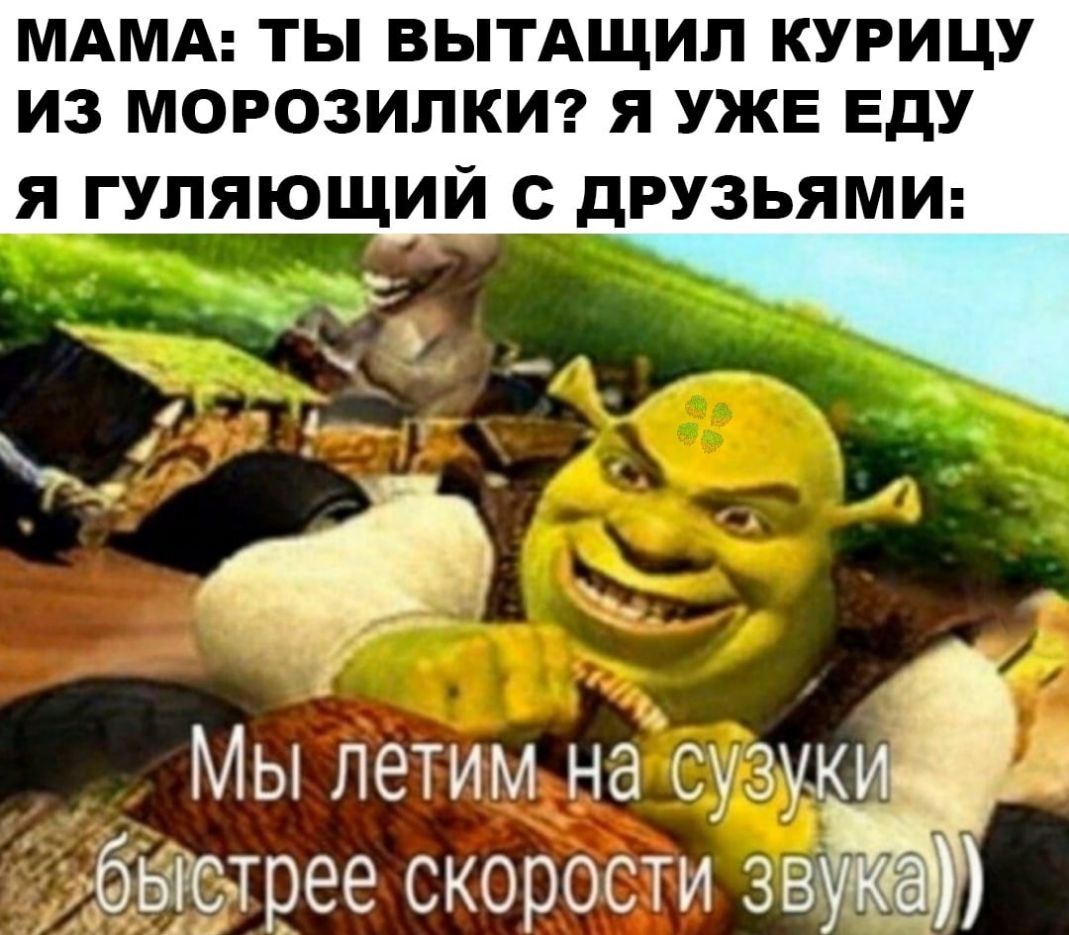 МАМА ТЫ ВЫТАЩИП КУРИЦУ ИЗ МОРОЗИПКИ Я УЖЕ ЕДУ Я ГУПЯЮЩИЙ С дРУЗЬЯМИ