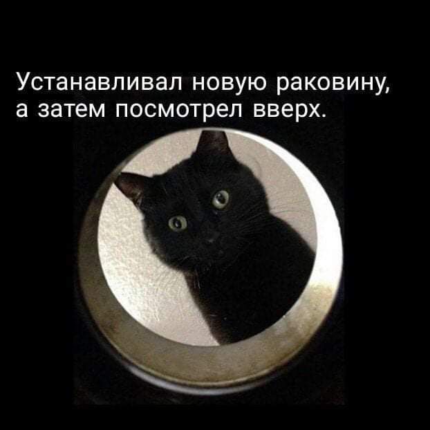 Устанавливал новую раковину а затем посмотрел вверх