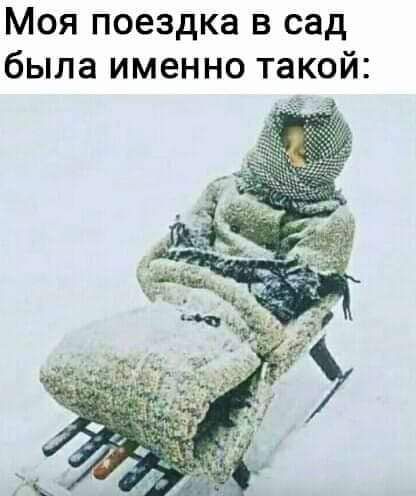 Моя поездка в сад была именно такой