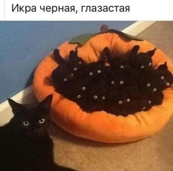 Икра черная глазастая
