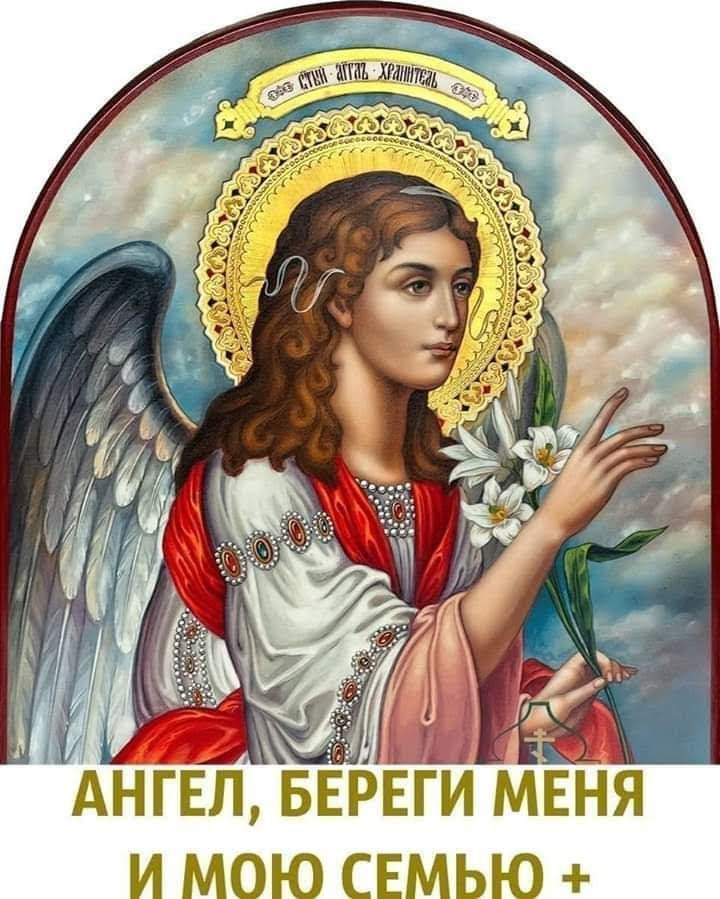 МЕНЯ И МОЮ СЕМЬЮ