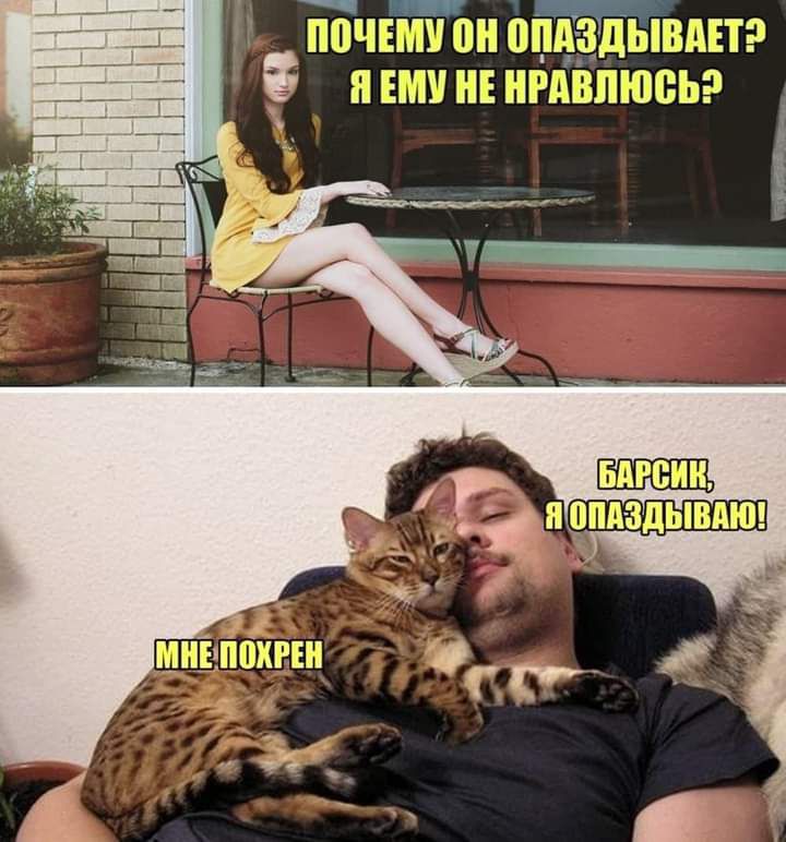 ШШЧЕБШП ШШ ШППАщПЁвПШЫЕП В БШ ЕКШ ЫЕ ШРДШПЮСЪЪЧ