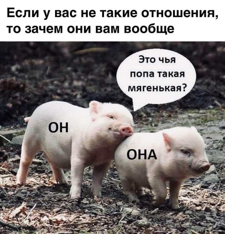 Если у вас не такие отношения то зачем они вам вообще Это чья попа такая мягенькая
