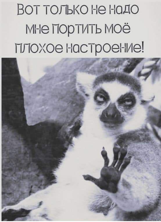 Вот только не надо мне портить моё