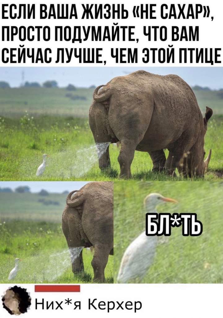 ЕСЛИ ВАША ЖИЗНЬ НЕ САХАР ПРШЁТО ППЦУМАИТЕ ЧТ0_ВАМ ВЕИЧАС ЛУЧШЕ ЧЕМ ЗТПИ ПТИЦЕ