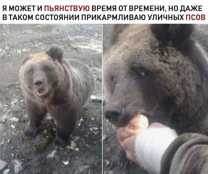 Я МОЖЕТИ ЬЯНСТВУЮ ВРЕМЯ ОТ ВРЕМЕНИ НО ДАЖЕ В ТАКОМ СОСТОЯНИИ ПРИКАРМЛИВАЮ УЛИЧНЫХ ПСОВ