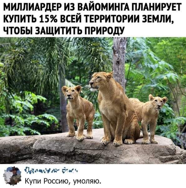 МИЛЛИАРДЕР ИЗ _ВАЙОМИНГА ПЛАНИРУЕТ КУПИТЬ 15 ВСЕИ ТЕРРИТОРИИ ЗЕМЛИ ЧТОБЫ ЗАЩИТИТЬ ПРИРОдУ д _ _ Клинка 6 ти Купи Россию умоляю
