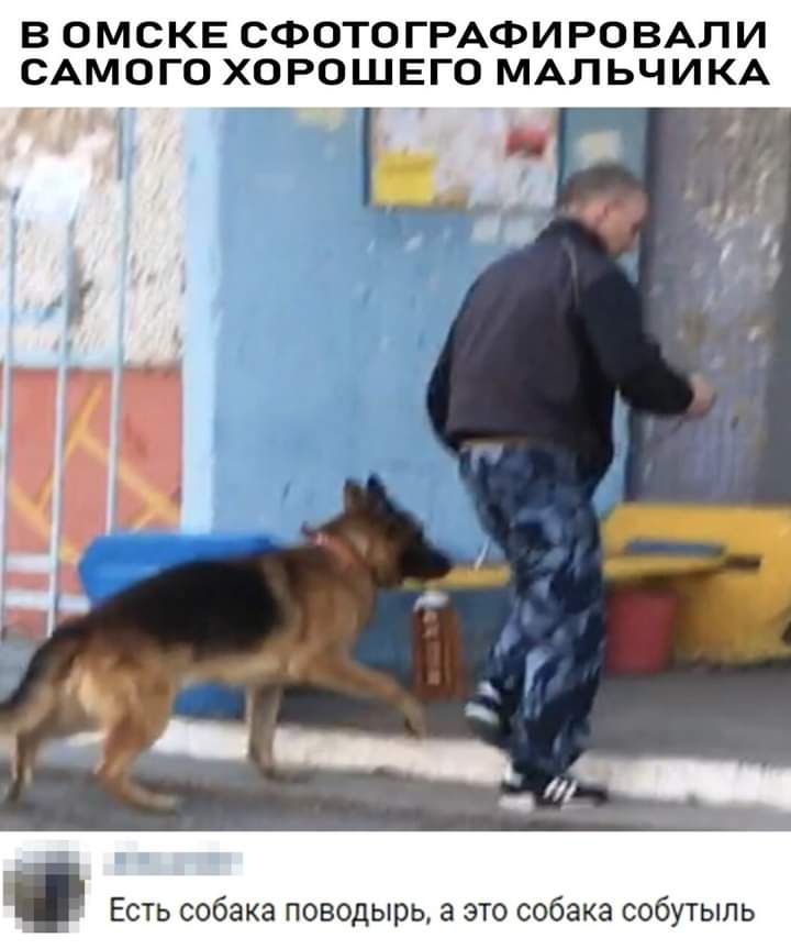 В ОМСКЕ СФОТОГРАФИ РО ВАЛИ САМОГО ХОРОШЕГО МАЛЬЧИКА Есть собака поводырь а это собака собутыль