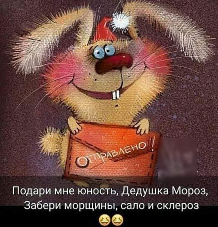Подари мне юность дедушка Мороз Забери морщины сало и склероз