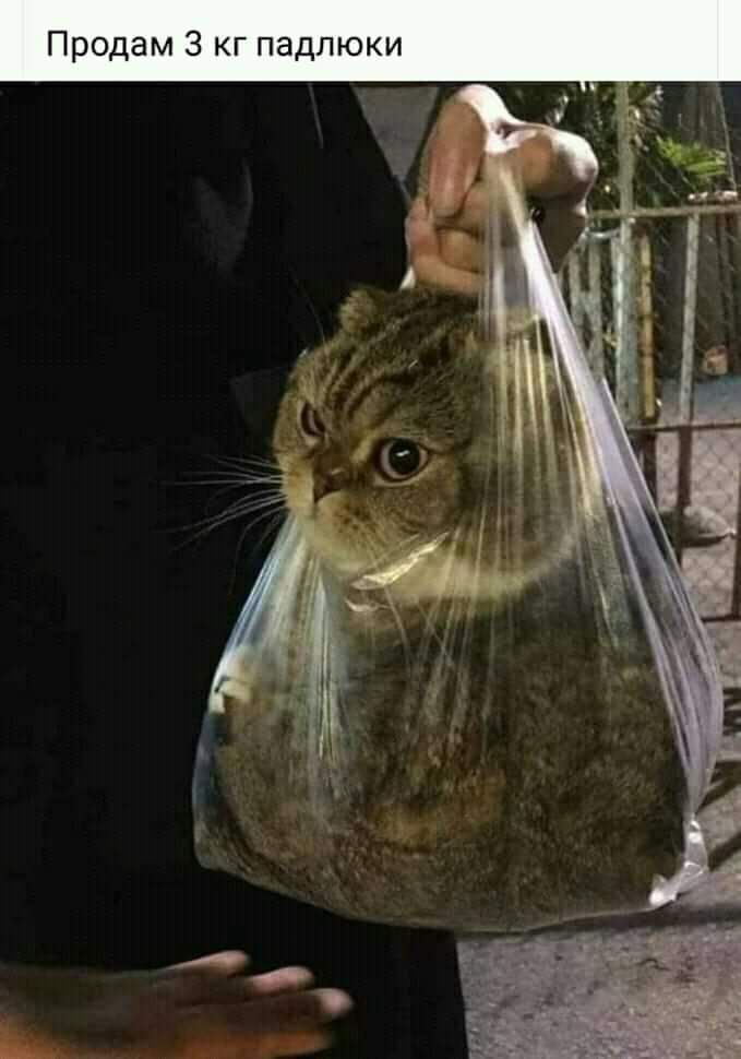 Продам 3 кг падлюки