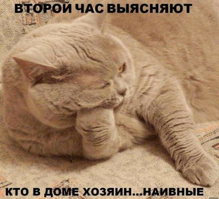 к ТПО в дайв хозяинщвн чАс выясняют ЫЕ