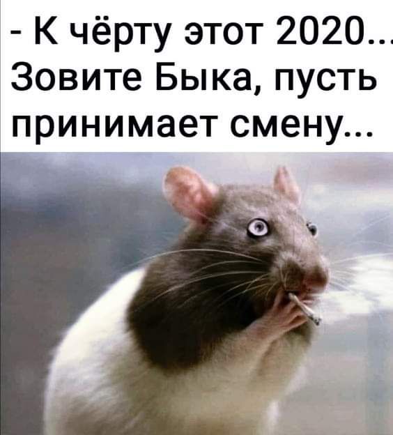 К чёрту этот 2020 Зовите Быка пусть принимает смену