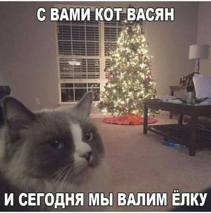 С ВАМЙЙОТВАСЯН И СЕГОДНЯ МЫ ВАЛИМ ЁЛКУ