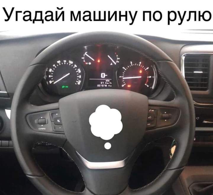 Угадай машину по рулю