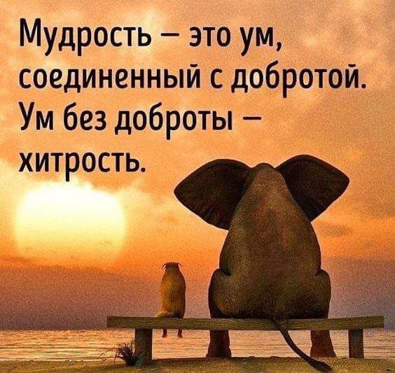 Мудрость это ум соединенный с добротой Ум без доброты хитрость