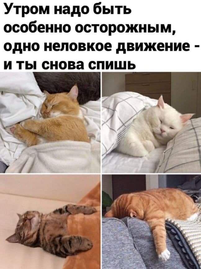 Утром надо быть особенно осторожным одно неловкое движение И ТЫ снова СПИШЬ