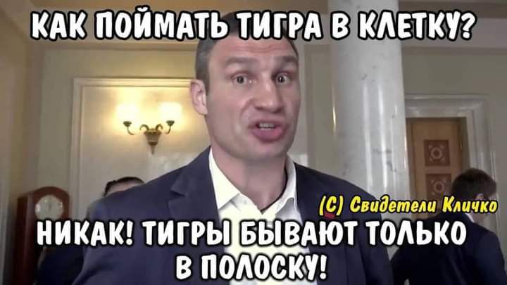 КАК ПОИМАТЬ ТИГРА В КАЕТКУ НИКАК ТИГРЫ БЫВАЮТ ТОАЬКО В ПОАОСК______1